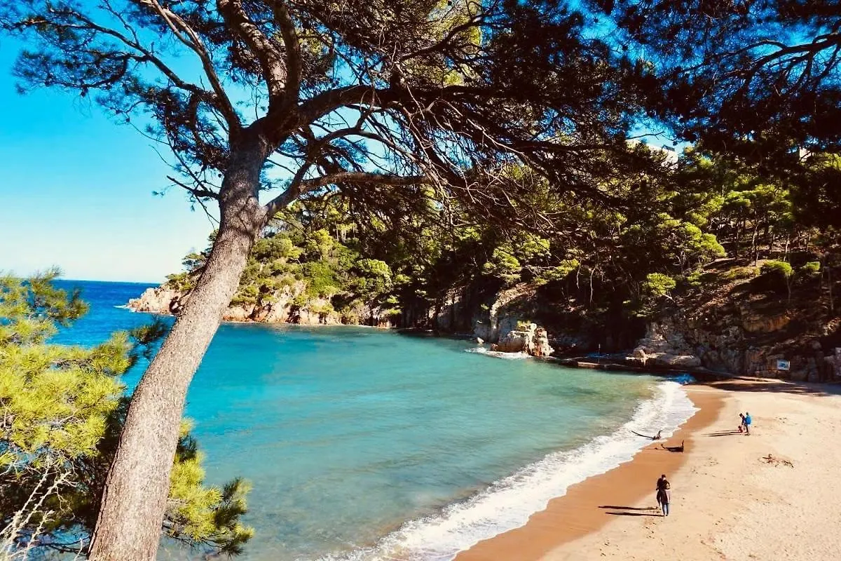 Autentica Casa Del Sxvii En La Costa Brava Cruïlles Spanien